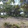 Longhorn River Ranch