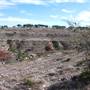 Longhorn River Ranch