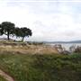 Mansfield Dam Park