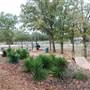 Lake Bastrop - South Shore Park