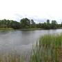 Lake Bastrop - South Shore Park