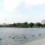 Hermann Park
