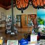 World Birding Center