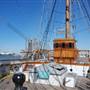 1877 Tall Ship Elissa