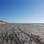Galveston Seawall Blvd
