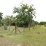 Storm Ranch