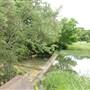 Storm Ranch