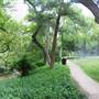 Davis Park