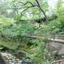 Davis Park