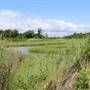 Seabrook Hike & Bike Trails