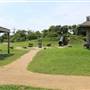 Pine Gully Park