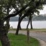Hancock Park