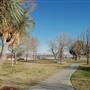 Tom Lea Upper Park