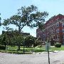 Incarnate Word College