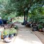 Hill Country Water Gardens & Nursery