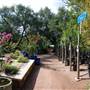 Hill Country Water Gardens & Nursery