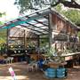 Hill Country Water Gardens & Nursery