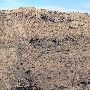 Davis Mountains State Park