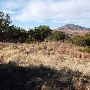 Davis Mountains State Park