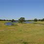 Colorado River Ranch