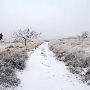 Mendota Ranch