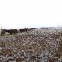 Mendota Ranch