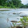 Langston's Crossing