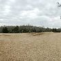 Hyatt Regency Lost Pines Resort & Spa - Wolfdancer Golf Club