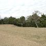 Hyatt Regency Lost Pines Resort & Spa - Wolfdancer Golf Club