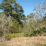 McKinney Roughs Nature Park