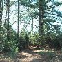McKinney Roughs Nature Park