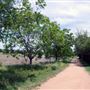 Mueller Lake Park