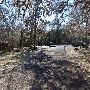 Buescher State Park