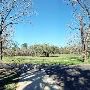Buescher State Park