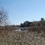 Buescher State Park