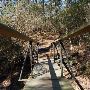 Buescher State Park