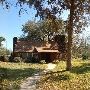 Buescher State Park