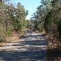 Buescher State Park