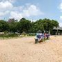 Auditorium Shores