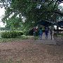 Auditorium Shores
