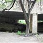 Olmos Basin