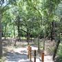 Judson Nature Trails