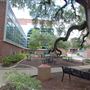Incarnate Word College
