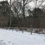 The Flying H Ranch