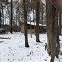 The Flying H Ranch