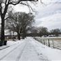 The Flying H Ranch