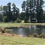 The Flying H Ranch