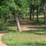 Johnson Park