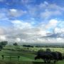 Two Wishes Ranch
