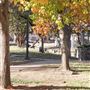 Mineral Wells Churches